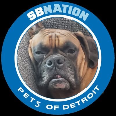 Editor at @PrideOfDetroit. Most content is #Lions and sports related. I watch a lot of movies and occasionally talk about them.