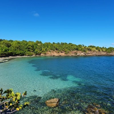 RossMarva's profile picture. 