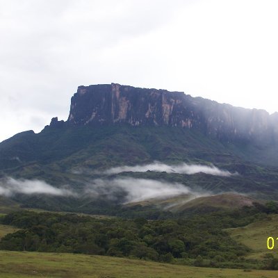 jramirezve1's profile picture. Trabajador, Deportista, Emprendedor