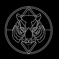 Tiger Kid (@tigerkidmusic) 's Twitter Profile