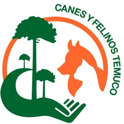 Somos una organización promotora de la Tenencia Responsable de Animales de Compañía en Temuco y alrededores. 🐶🐱💪