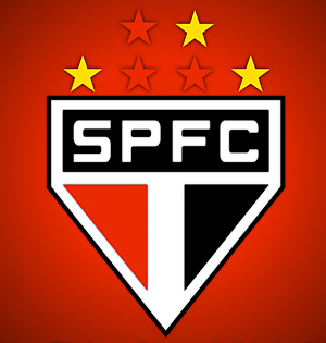 amo a torcida do são paulo futebol clube de esporte