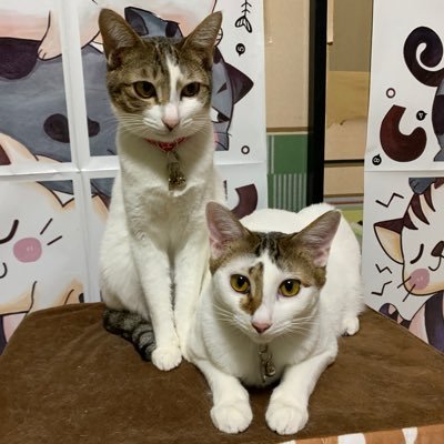 【pugg☆おまとめ購入お値引き致します☆】 pugg☆おまとめ購入お値引き致します☆様専用】