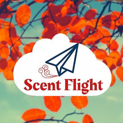 Welcome to Scent Flight!  We specialize in custom and stock air fresheners that will make your nose sparkle with joy!
The best (legal) feeling for your nose 😏