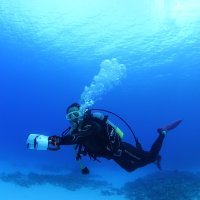 小林正幸 (@ww2fx94c4m86428) Twitter profile photo