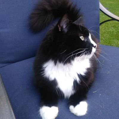 BeckaPiotro's profile picture. 