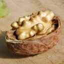 melanie carlson - @melaniecarlson - Twitter