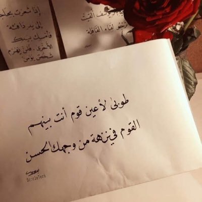 سعودي الاصل والمنشأ ،،، مسقط رأسي شمال المملكة ،، شمر عزوتي والسناعيس لابتي،، #محب للتقنية #والبرمجة#وبرامج#الاجهزة #وأطمح #لدراسة #الذكاء #الاصطناعي