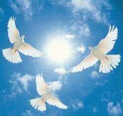 TrinityTC's profile picture. Our mission is to facilitate the development of socially responsible leaders who leverage their position in the workforce for the benefit of an global society.