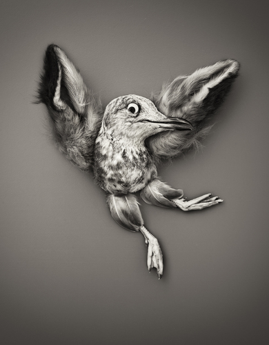 uDance_'s profile picture. Musician, gamer and whatever.