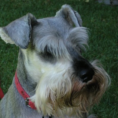 iaiopt's profile picture. Busco despertar Conciencias, no seguidores. Desprecio demagogos autocráticos que celebran la ignorancia, el latrocinio y hierven ranas! Hechos no Relatos.
