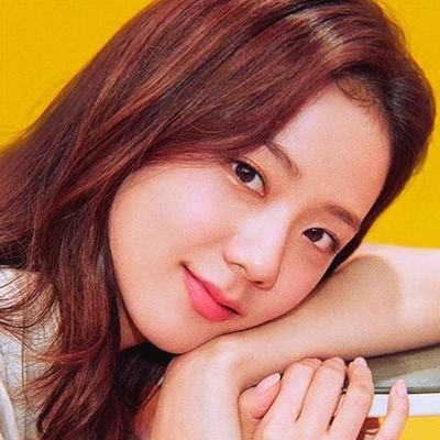 Kim Jisoo is a member of the South Korean Girl Group @BLACKPINK • VISUAL & VOCALIST of the group •
