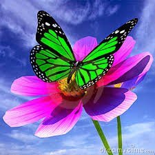 rous47941693's profile picture. 