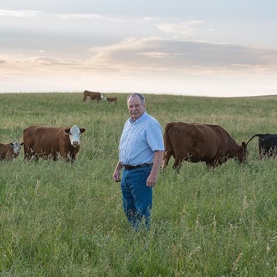 Barry Yaremcio is an independent ruminant nutritionist specializing in beef nutrition and management.