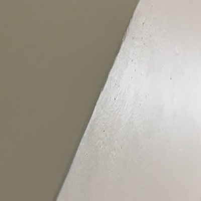 Dicky_sangadji's profile picture.