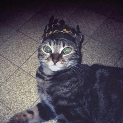 Riiisc___'s profile picture. 💙
15 | Pan / Non-binary | Conta de artes: @Rosto_Riiscado