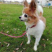 ツイッター、フェイスブックと登録したけど半放置プレー状態(苦笑)
夢は早期退職して悠々自適な生活。まあ、無理だろうな・・・
とりあえず、60になったらスパっと辞められるように
準備したいです。