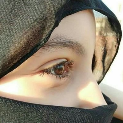 KhansMunna's profile picture. ‏مجھے لوگوں سے کسی چیز کی توقع نہیں ہے 
کیونکہ عزت نام اور شہرت سب خدا دیتا ہے