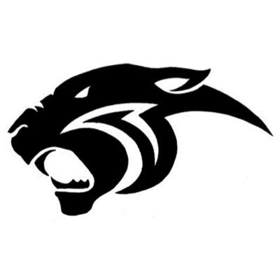 Panther Basketball Profile
