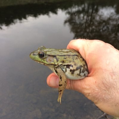 RandyAdis's profile picture. Husband. Dog dad to two. Dad to two human boys, who are also pretty great. NJ expat. UConn & UGA alum.