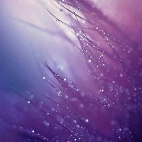 BoricuaMan70 (@eric19703) 's Twitter Profile