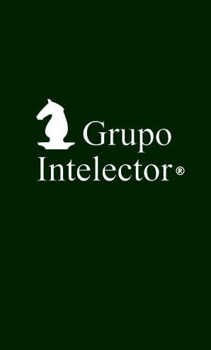 GrupoIntelector's profile picture. 