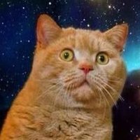 ねこ (@3dnekosmith) 's Twitter Profile Photo