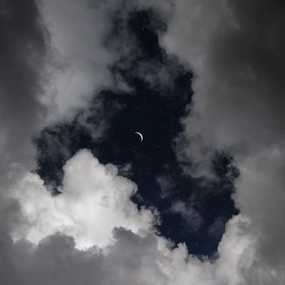 isuniversereal's profile picture. maybe I should see a therapist but the apocalypse is probably gonna take us out