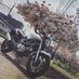 おもち (@omochi_vtr250) Twitter profile photo おもち (@omochi_vtr250) Twitter profile photo