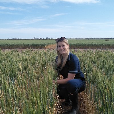 KylieRChambers's profile picture. (she/ her) Plant pathologist @dpirdbroadacre based in the WA grainbelt. Fueled by caffeine, dumplings and cheese.
Views are my own.