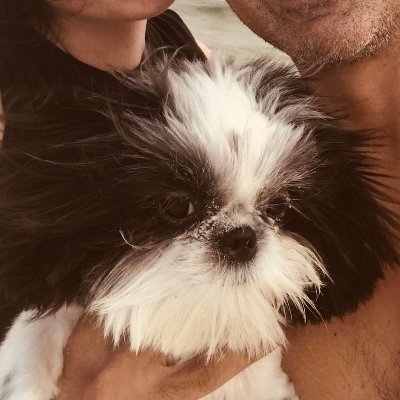 BGIradji's profile picture. Here for politics, tech, NBA
