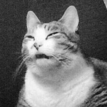 PromotesSatiety's profile picture. shed rock, horror movies, video games, pulp fiction, leftism, guided meditation, being not stoned. he/him hoyeah the jokes just write themselves