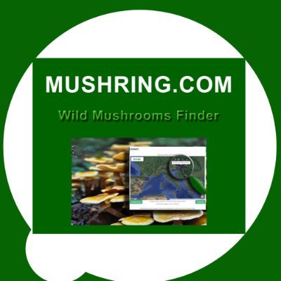 Mushring provides timely and reliable wild mushrooms fruiting forecast maps for Europe, North America, Asia and Australia!