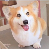 TAKE (@taketake77777) 's Twitter Profile