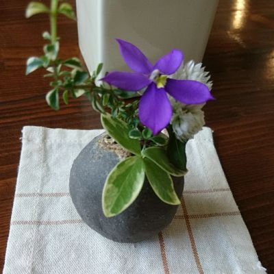 なのはなさんのプロフィール画像
