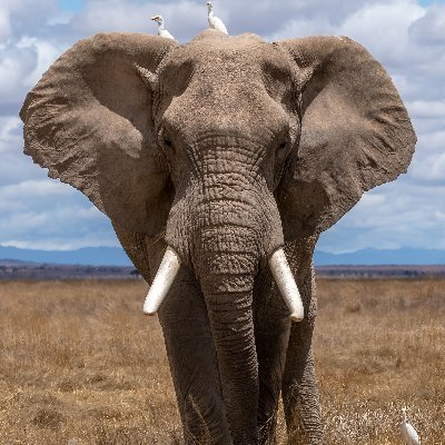 BkkForexTrader's profile picture. Bangkok🇹🇭