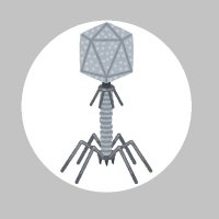 GRANT (@grant1230123) Twitter profile photo