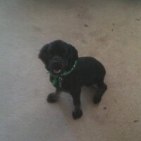 Jeff M. (@mcnutt13) 's Twitter Profile