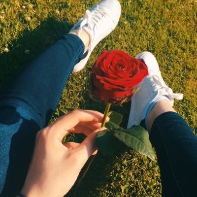 misszaru__'s profile picture. 