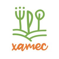 Xamec (@_xamec) 's Twitter Profile