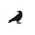 izdiham.com (@izdihamsite) Twitter profile photo izdiham.com (@izdihamsite) Twitter profile photo