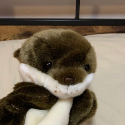 純'平原さんのプロフィール画像