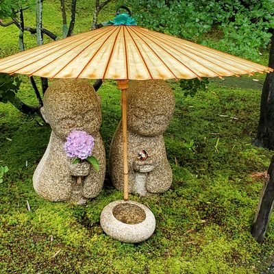 DcGcCjXQAkXrlE0's profile picture. 御朱印好きな奈良県民。歌謡曲も昔から好きで園まりさんのファンになって半世紀以上になります。最近の歌手では田中あいみさんが一推しで青山新さん、原田波人さん、石原まさしさん、木村徹二さん、岡本幸太さん、小山雄大さん、中村唯人さん、亜蘭さんの歌が好きです。