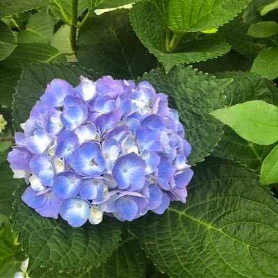 てるみーさんのプロフィール画像