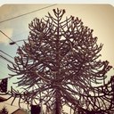 Chris Macks - @cmacks - Twitter