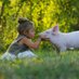 Vegan Charity Australia (@vegancharityaus) Twitter profile photo Vegan Charity Australia (@vegancharityaus) Twitter profile photo
