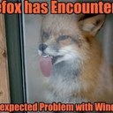 Wayne Corder - @waynegreeneyez - Twitter