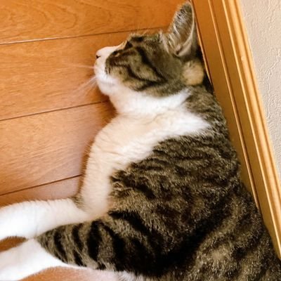 VmIWmlE1X1e1PEg's profile picture. 