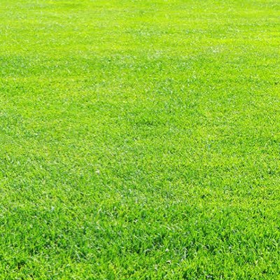 KURO83449675's profile picture. 