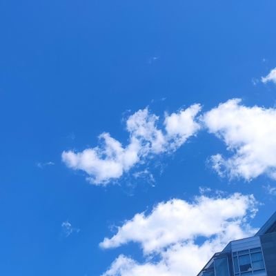 niceqwas's profile picture. 